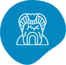 Dental Abscess Treatment Brisbane
